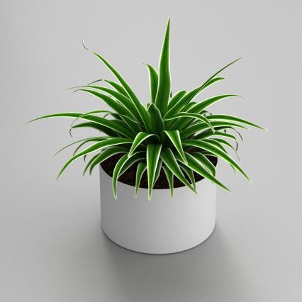 Blomkruka11x17 cm vit