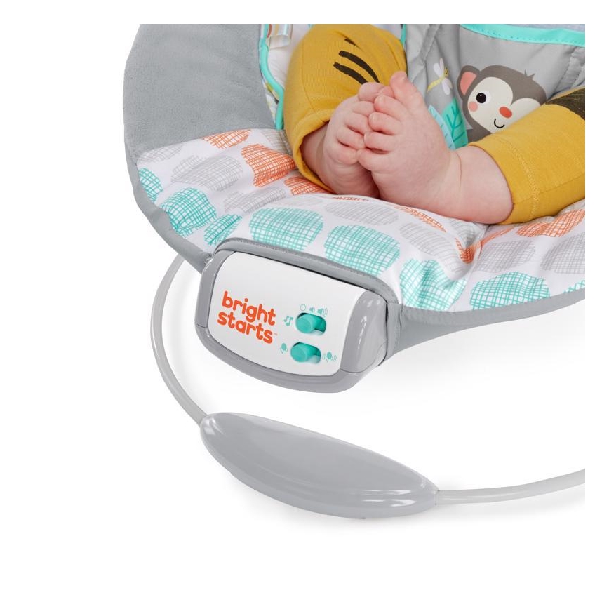 Bright Starts - Barn vibrating solstol med melody WHIMSICAL WILD