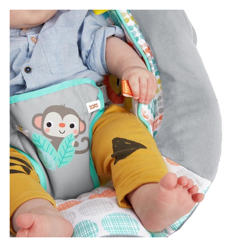 Bright Starts - Barn vibrating solstol med melody WHIMSICAL WILD