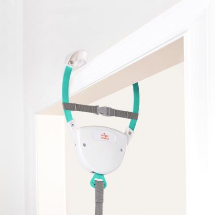 Bright Starts - Dörrhoppgunga PLAYFUL PARADE