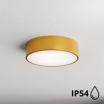 Brilagi - Badrum takbelysning CLARE 2xE27/24W/230V diameter 30 cm IP54 guld