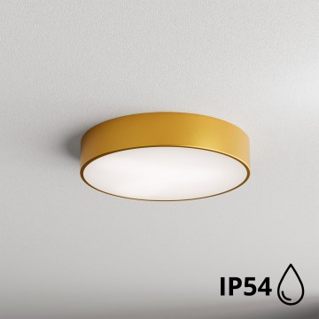 Brilagi - Badrum takbelysning CLARE 2xE27/24W/230V diameter 40 cm IP54 guld