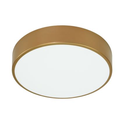 Brilagi - Badrum takbelysning CLARE 2xE27/24W/230V diameter 40 cm IP54 guld