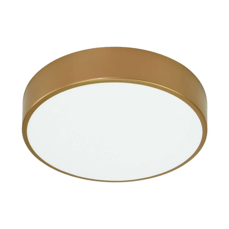 Brilagi - Badrum takbelysning CLARE 2xE27/24W/230V diameter 40 cm IP54 guld