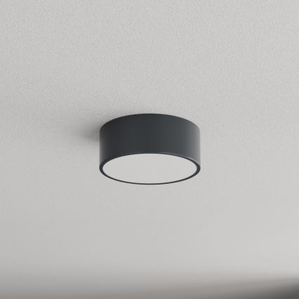 Brilagi - Badrumstaklampa CLARE 1xE27/24W/230V Ø 20 cm antracit IP54