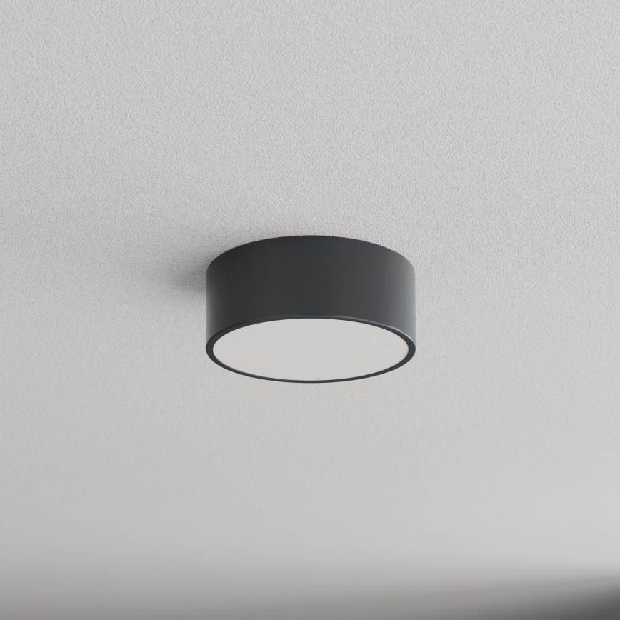 Brilagi - Badrumstaklampa CLARE 1xE27/24W/230V Ø 20 cm antracit IP54