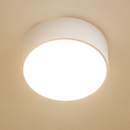 BRILAGI - Badrumsplafond POOL 2xE27/15W/230V Ø 30 cm IP54 vit