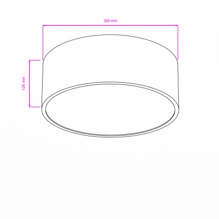 BRILAGI - Badrumsplafond POOL 2xE27/15W/230V Ø 30 cm IP54 vit