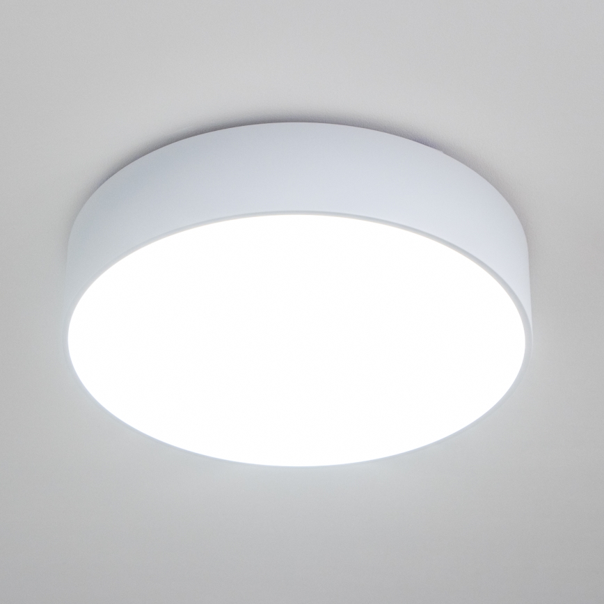 Brilagi - Badrumsplafond POOL 4xE27/15W/230V, Ø 50 cm, IP54, vit