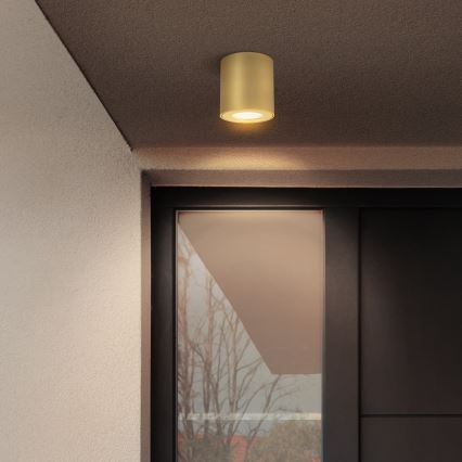 Brilagi - Badrumsspotlight MIA 1xGU10/30W/230V 84x80 mm guldig IP54