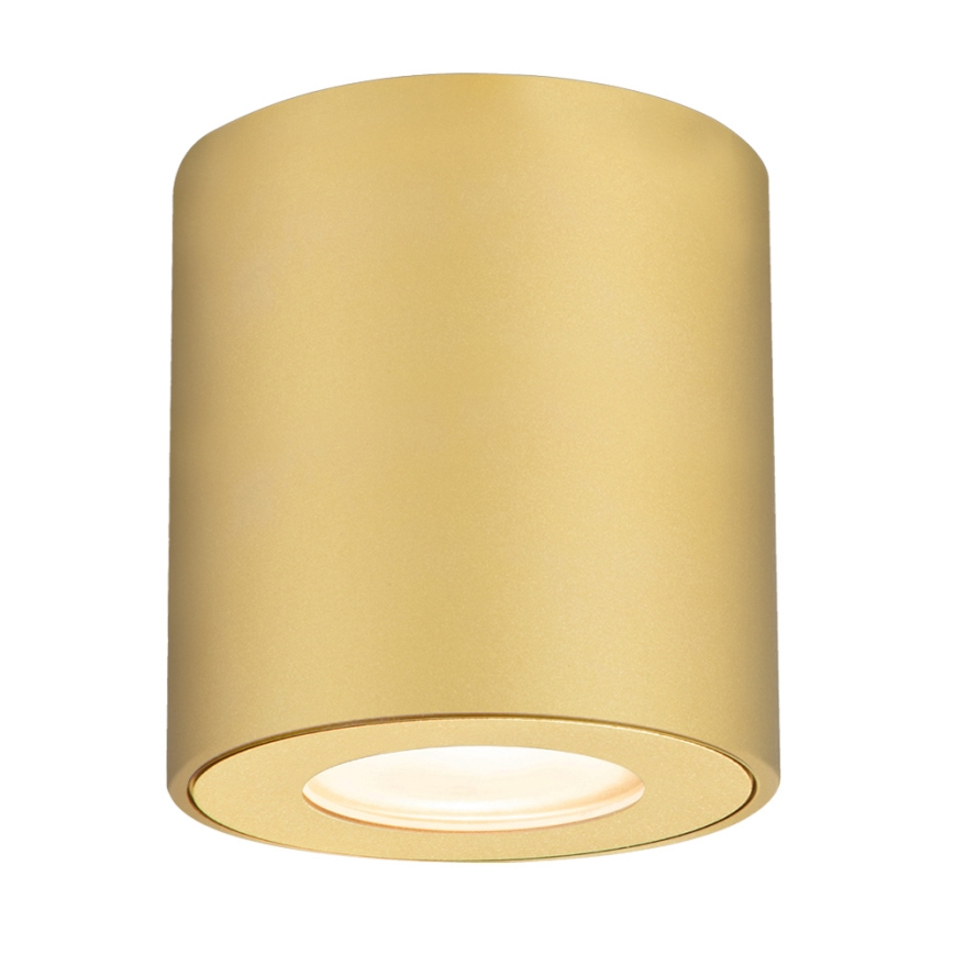 Brilagi - Badrumsspotlight MIA 1xGU10/30W/230V 84x80 mm guldig IP54