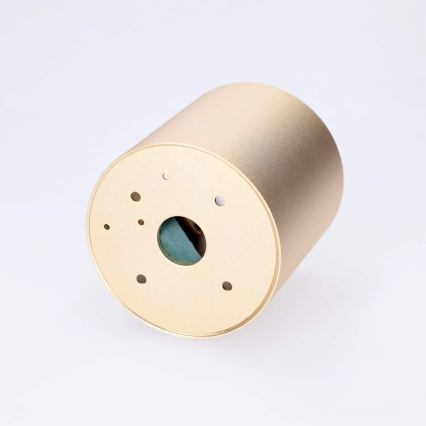 BRILAGI - Badrumsspotlight MIA 1xGU10/30W/230V 84x80 mm guldig IP54
