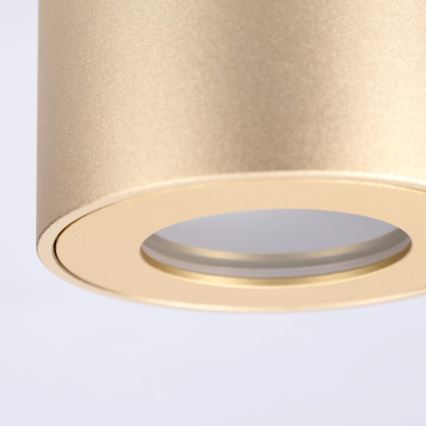 BRILAGI - Badrumsspotlight MIA 1xGU10/30W/230V 84x80 mm guldig IP54