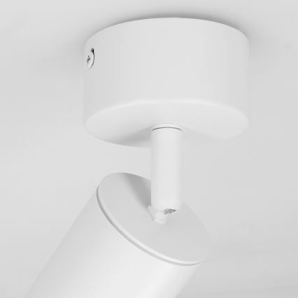 Brilagi - Badrumsspotlight SELE 1xGU10/30W/230V IP44 vit