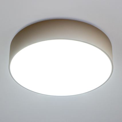 Brilagi - Badrumstakarmatur POOL 4xE27/15W/230V Ø 50 cm IP54 beige