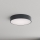 Brilagi - Badrumstaklampa CLARE 3xE27/24W/230V Ø 40 cm antracit IP54