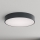 Brilagi - Badrumstaklampa CLARE, 4×E27 (max 24 W), 230 V, Ø 50 cm, antracit, IP54