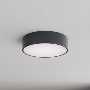Brilagi - Badrumstaklampa med rörelse- och skymningssensor CLARE 2xE27/24W/230V Ø 30 cm antracit IP54