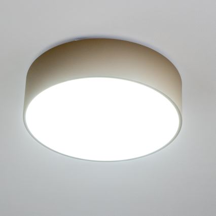 Brilagi - Badrumstaklampa POOL 3xE27/15W/230V Ø 40 cm IP54 beige