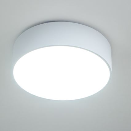 BRILAGI - Badrumstaklampa POOL 3xE27/15W/230V Ø 40 cm IP54 vit