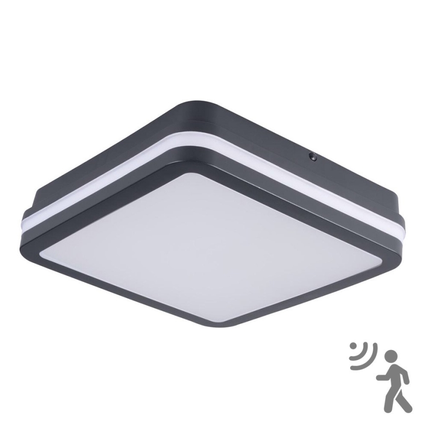 Brilagi - LED Utomhusbelysning med sensor BENE LED/18W/230V 22x22 cm antracit IP54