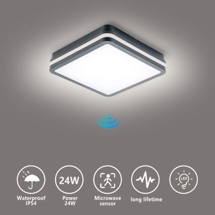 Brilagi - LED Utomhusbelysning med rörelsesensor BENE LED/24W/230V 26x26 cm antracit IP54