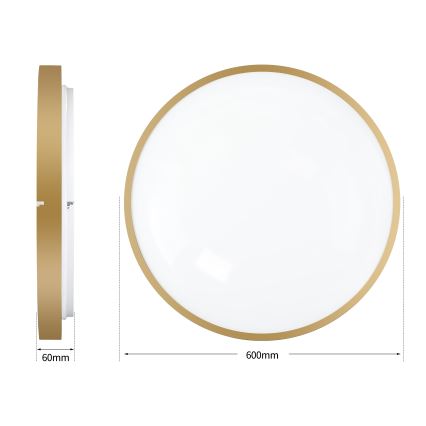 Brilagi - dimmerbar LED-takarmatur GLASS POOL DOUBLE LED/80W/230V 3000-6000K 60 cm guldfärgad + fjärrkontroll