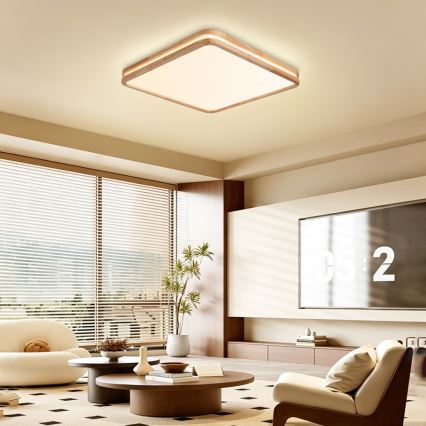 BRILAGI - Dimmbar LED-takarmatur MOLINA SQUARE LED/80W/230V 3000-6000K ek 60x60 cm + fjärrkontroll