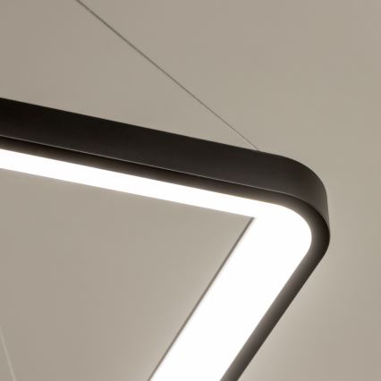 Brilagi - Dimmbar LED-pendellampa med vajer FALCON SLIM LED/50W/230V 3000-6500K 50x50 cm svart + fjärrkontroll