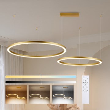 Brilagi - Dimbar LED-pendel på kabel PORTOFINO LED/98W/230V 3000-6000K guld + fjärrkontroll