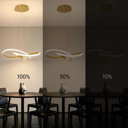 BRILAGI - LED-dimbar pendellampa med vajer INFINITY LED/55W/230V 3000-6000K 50x50 cm guld + fjärrkontroll