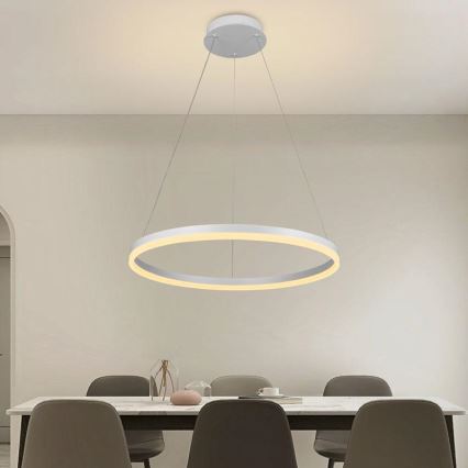 Brilagi - LED dimbar pendellampa på vajer CIRCLE LED/42W/230V 3000-6500K Ø 60 cm + fjärrkontroll