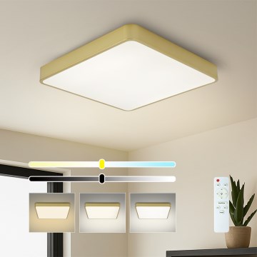 Brilagi - Dimbar LED-takarmatur POOL LED/48W/230V 3000-6000K 50x50 cm guld + fjärrkontroll
