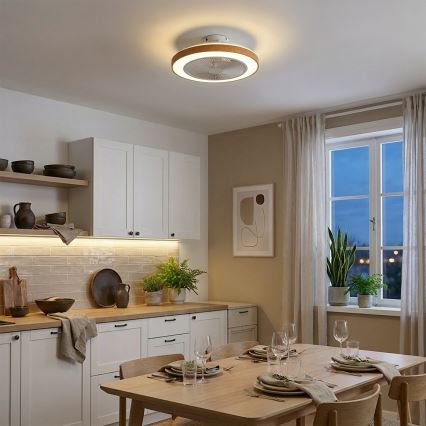 Brilagi - LED-dimmbar takfläkt LED/38W/230V 50 cm vit/brun + fjärrkontroll
