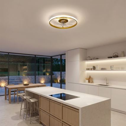 Brilagi - Dimmbar LED-takfläkt LED/66W/230V 55 cm vit/guld + fjärrkontroll