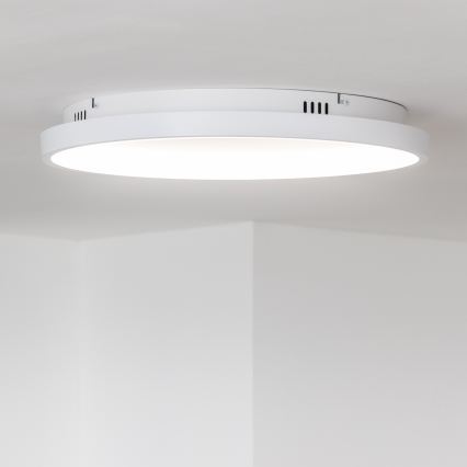 Brilagi - Dimbar LED-taklampa FALCON SLIM LED/42W/230V 3000-6500K Ø 50 cm vit + fjärrkontroll