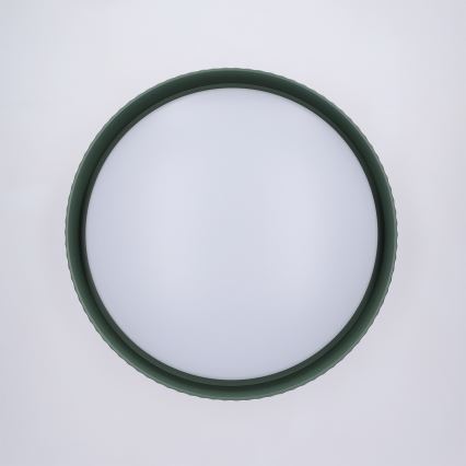 Brilagi - LED-dimbar taklampa LUCIA LED/48W/230V 3000-6500K Ø 41 cm grön + fjärrkontroll