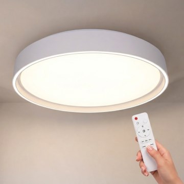 Brilagi - Dimbar LED-taklampa NANCI LED/60W/230V 3000–6500 K Ø49 cm vit + fjärrkontroll