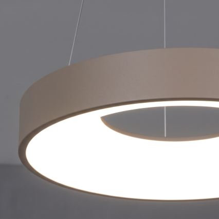 BRILAGI - LED dimmerbar pendellampa på vajer FALCON II LED/67W/230V 3000-6500K Ø 40 cm beige + fjärrkontroll