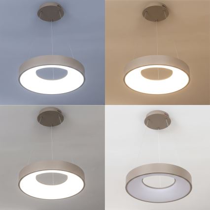 BRILAGI - LED dimmerbar pendellampa på vajer FALCON II LED/67W/230V 3000-6500K Ø 40 cm beige + fjärrkontroll