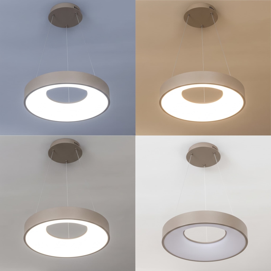 BRILAGI - LED dimmerbar pendellampa på vajer FALCON II LED/67W/230V 3000-6500K Ø 40 cm beige + fjärrkontroll
