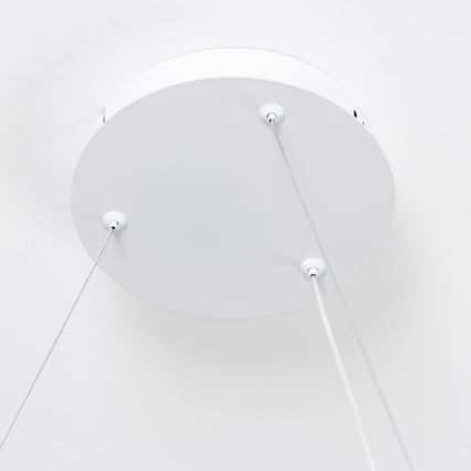 Brilagi - LED dimbar pendel på vajer FALCON SLIM LED/42W/230V 3000-6500K Ø 50 cm vit + fjärrkontroll