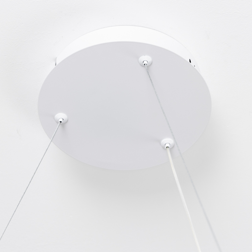 Brilagi - LED dimbar pendel på vajer FALCON SLIM LED/42W/230V 3000-6500K Ø 50 cm vit + fjärrkontroll