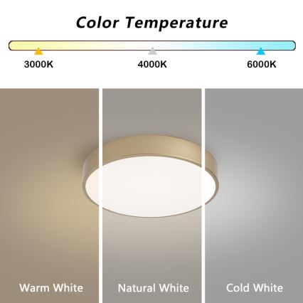 BRILAGI - LED dimbar taklampa POOL LED/36W/230V 3000-6000K Ø 30 cm guld + fjärrkontroll