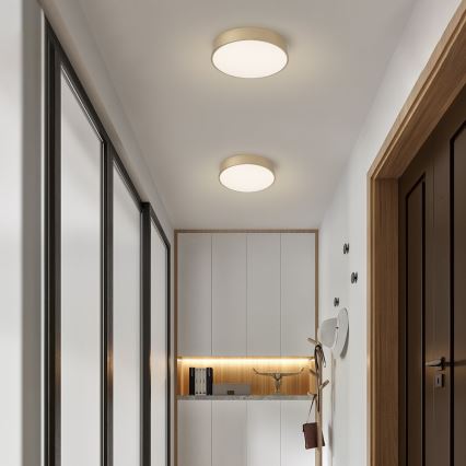 BRILAGI - LED dimbar taklampa POOL LED/36W/230V 3000-6000K Ø 30 cm guld + fjärrkontroll