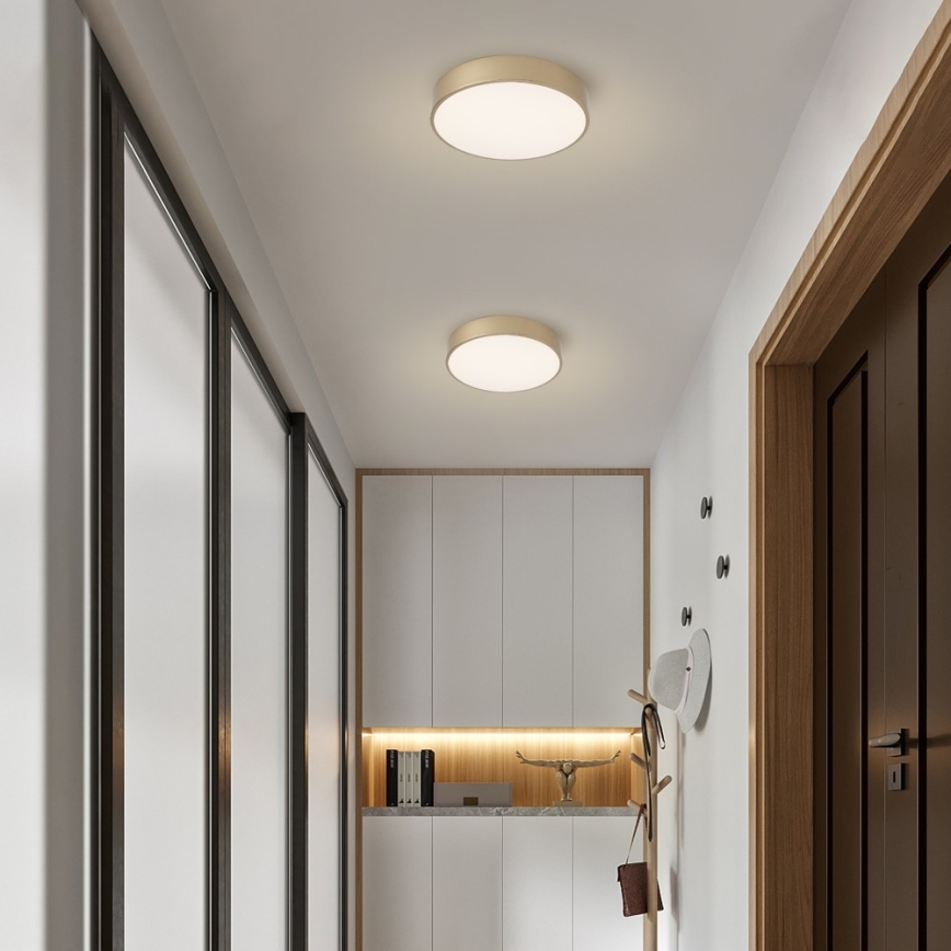 BRILAGI - LED dimbar taklampa POOL LED/36W/230V 3000-6000K Ø 30 cm guld + fjärrkontroll
