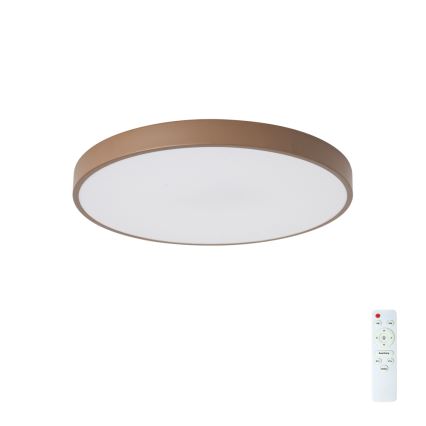 Brilagi - Dimbar LED-taklampa POOL LED/60W/230V 3000-6000K Ø 50 cm brun + fjärrkontroll