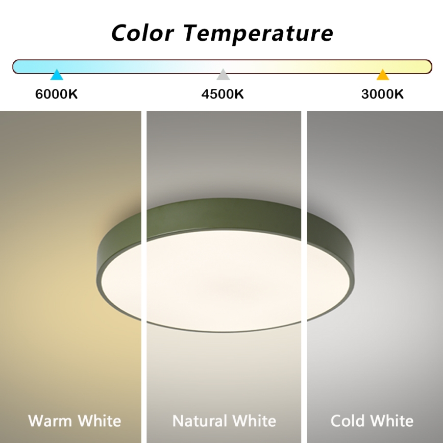 Brilagi - LED-dimbart takarmatur POOL LED/60W/230V 3000–6000K Ø 50 cm grön + fjärrkontroll