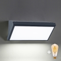 Brilagi - Dimbar LED-utomhusvägglampa TRIANGLE 1xE27/6W/230V 2700-6500K IP65 antracit