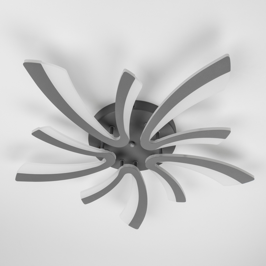 Brilagi - Dimbar LED ytmonterad ljuskrona TWIST LED/55W/230V 3000-6500K antracit + fjärrkontroll